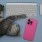 premium silicone cover iPhone 17 Pro Pink Mobil tilbehør