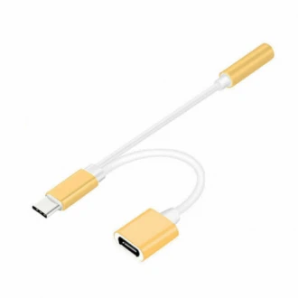 2 i 1 Type-C USB C til 3,5 mm AUX  (leveso.dk)